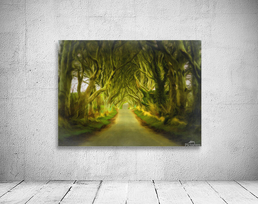 Dark Hedges road through old trees Wall Preview