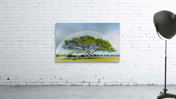 Tree of life with rainbow Wall Preview