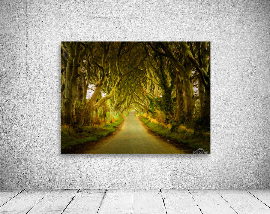 Dark Hedges road through old trees in digital oil Wall Preview