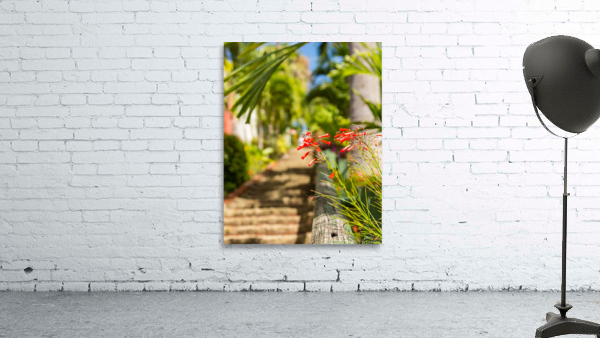 Famous 99 steps Charlotte Amalie Wall Preview