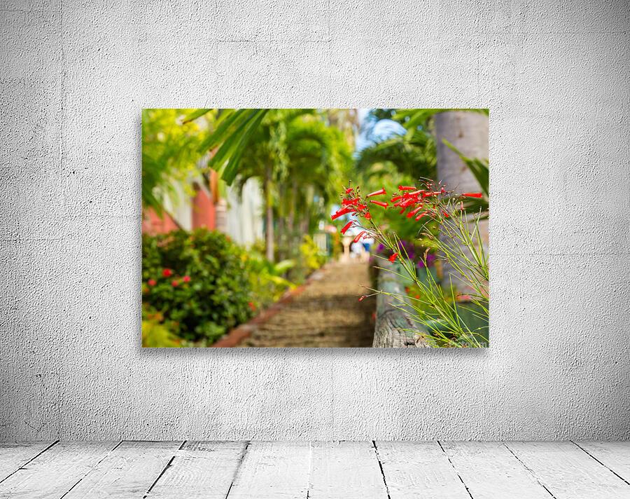 Famous 99 steps Charlotte Amalie Wall Preview