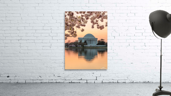 Cherry Blossom and Jefferson Memorial at sunrise Wall Preview