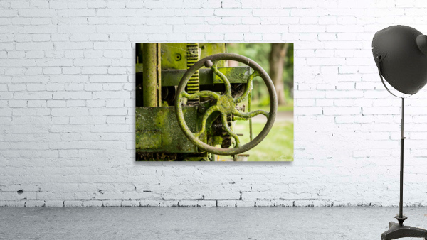 Moss covered farm machinery with handle Wall Preview