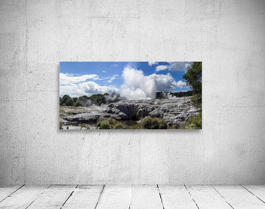 Whakarewarewa thermal geyser area Wall Preview