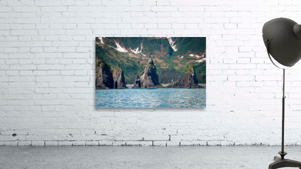 Rocky outcrops in the bay at Seward in Alaska Wall Preview