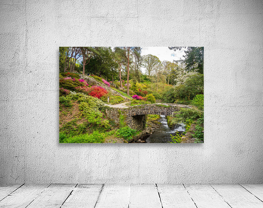 Stone bridge with Azaleas and Rhododendron trees Bodnant Wall Preview