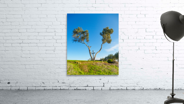 Serra Cross in Ventura California between trees Wall Preview