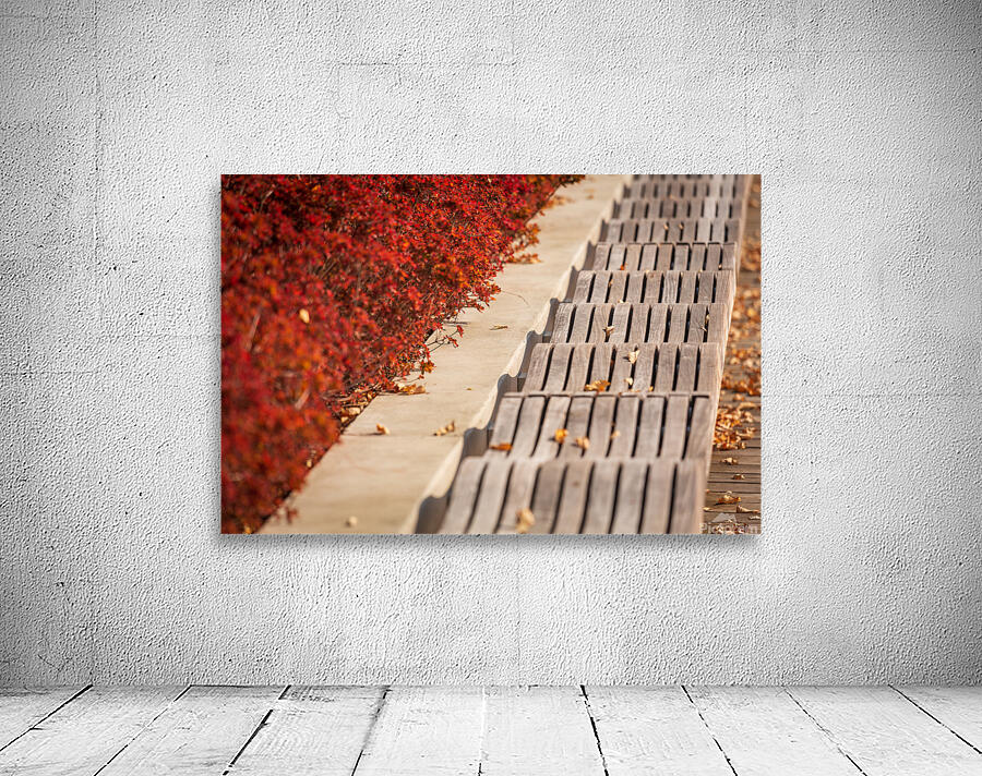Modern wavy wooden bench in Yards Park Wall Preview