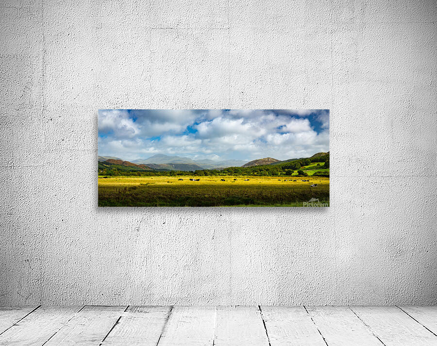 Panorama of the English Lake District Wall Preview