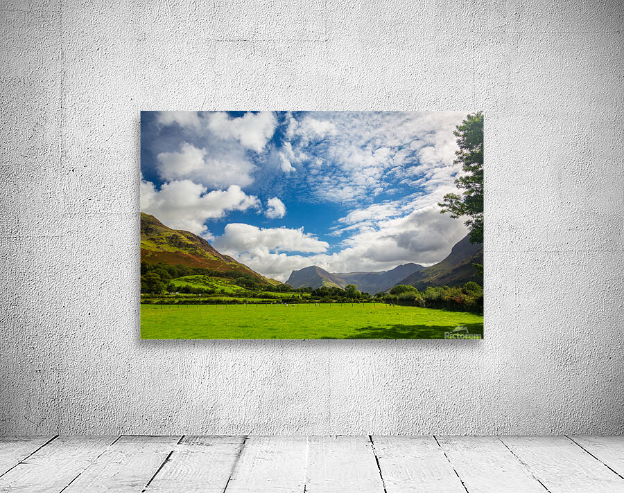 Sheep graze near Buttermere Lake District Wall Preview