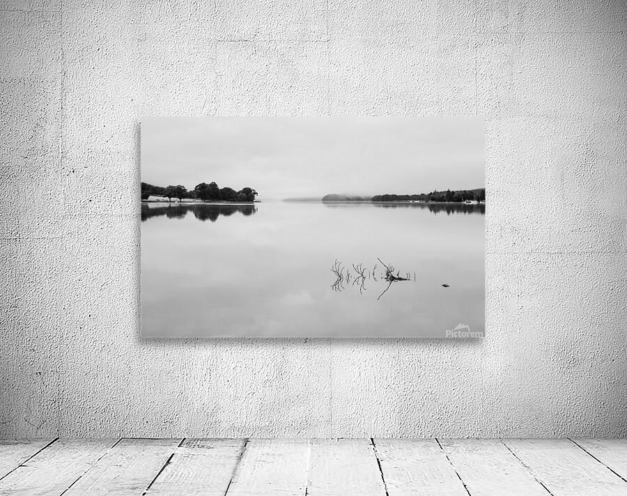Reflection of branch in Coniston Water  Wall Preview