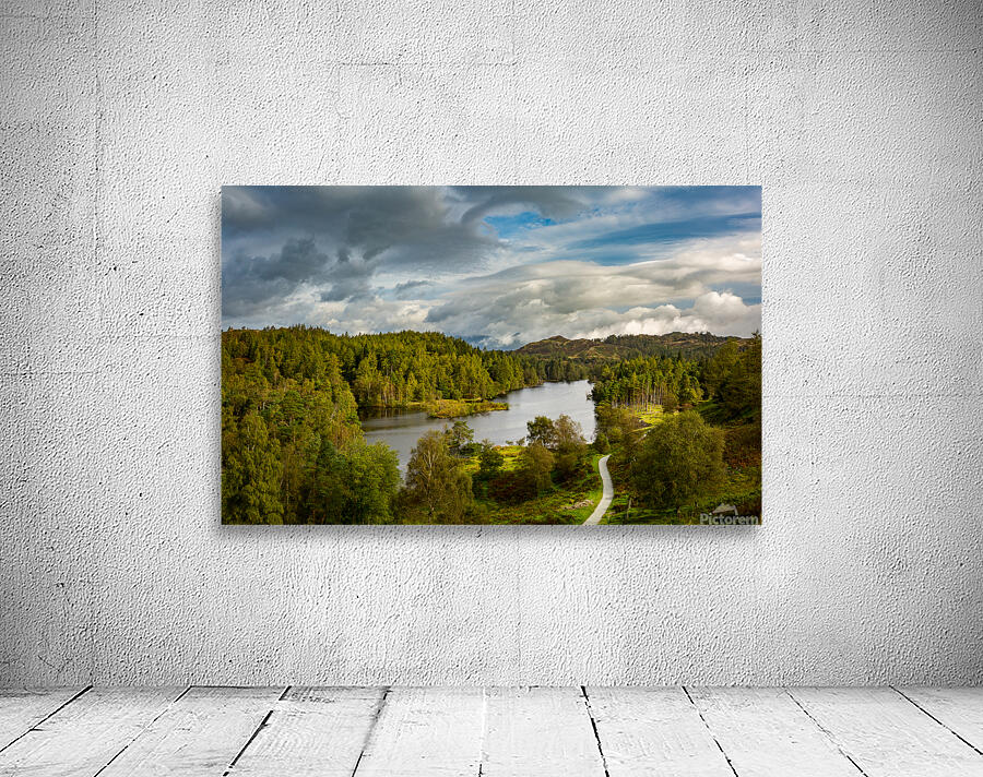 View over Tarn Hows in English Lake District Wall Preview