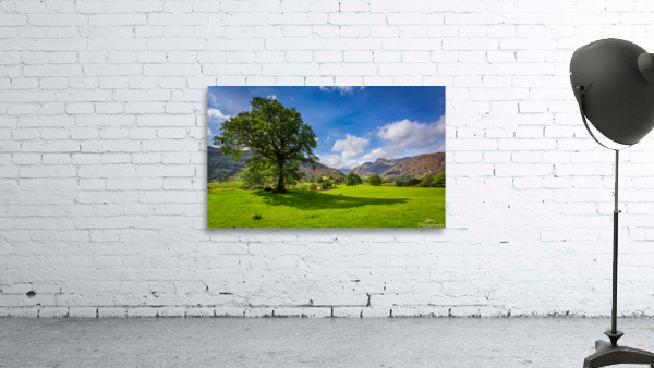 Tree with Langdale Pikes in Lake District Wall Preview