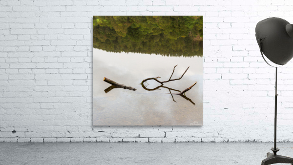 Reflection of branch in Coniston Water  Wall Preview
