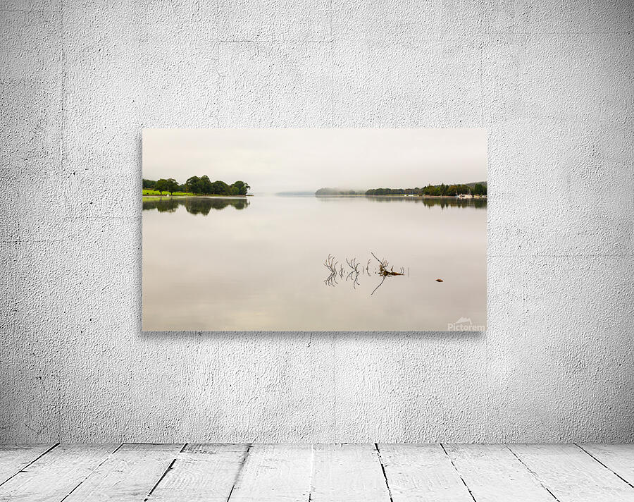 Reflection of branch in Coniston Water  Wall Preview