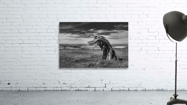 Traditional green man woven from branches Wall Preview