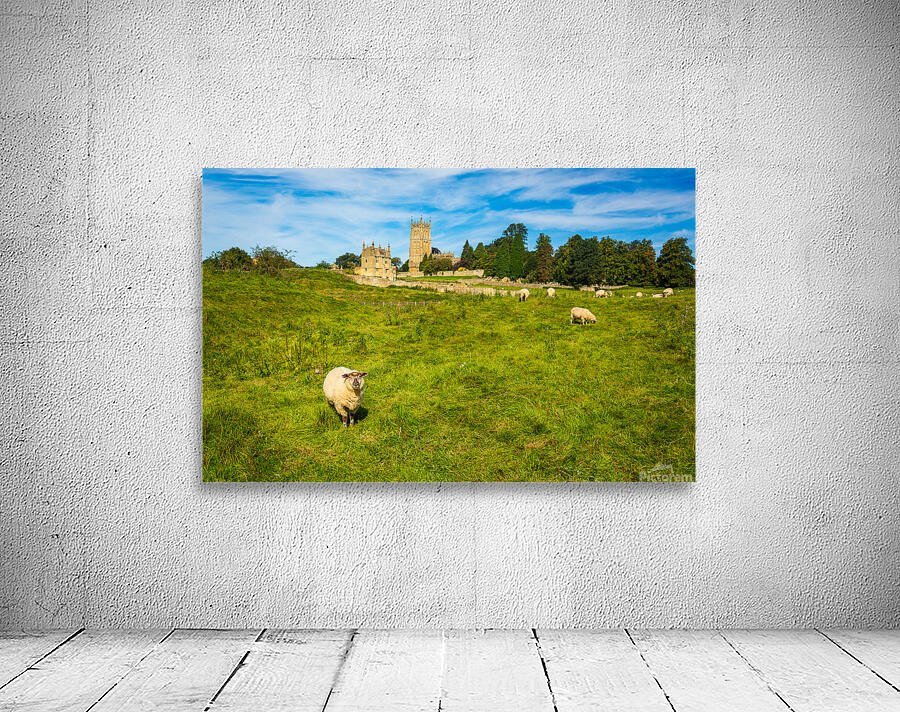 Church St James across sheep in Chipping Campden Wall Preview