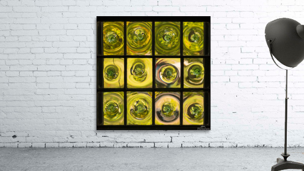 Window of old crown glass panes reflected garden Wall Preview