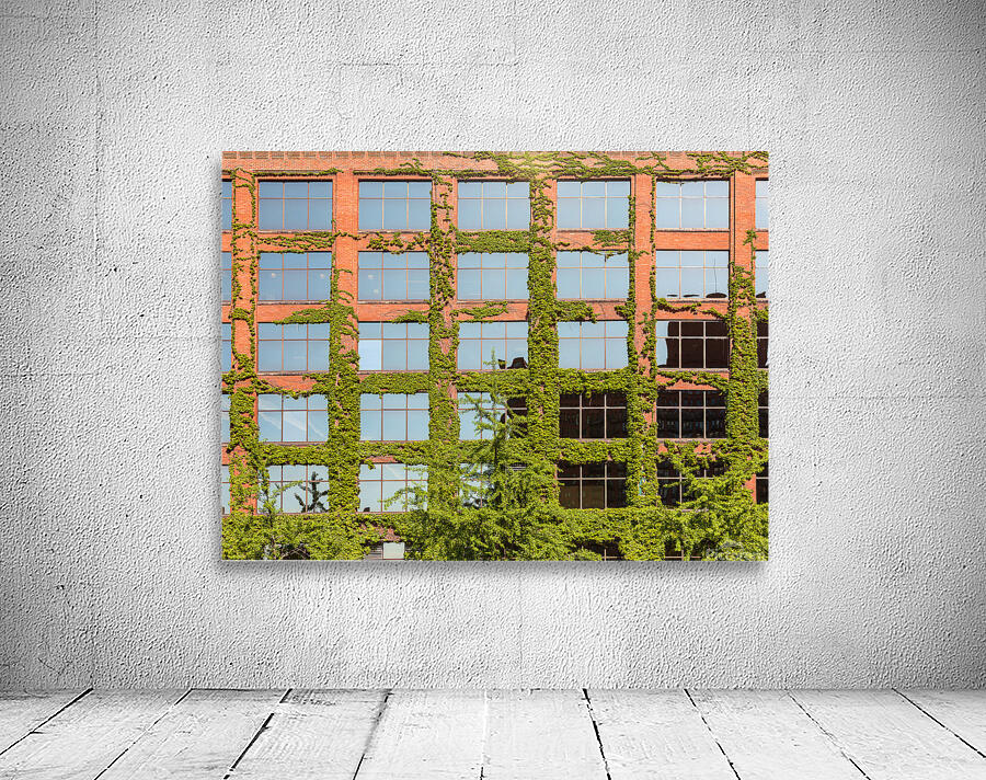 Modern Chicago office covered with plants Wall Preview