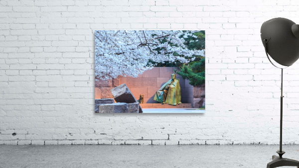 Cherry blossoms and Washington FDR monument Wall Preview