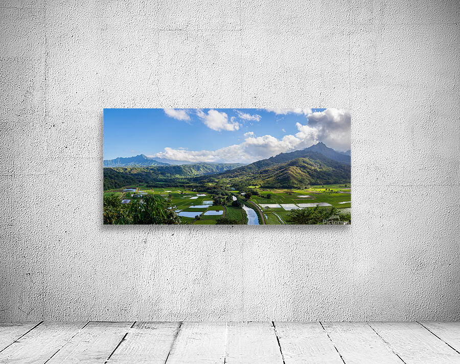 Hanalei valley from Princeville Kauai Wall Preview