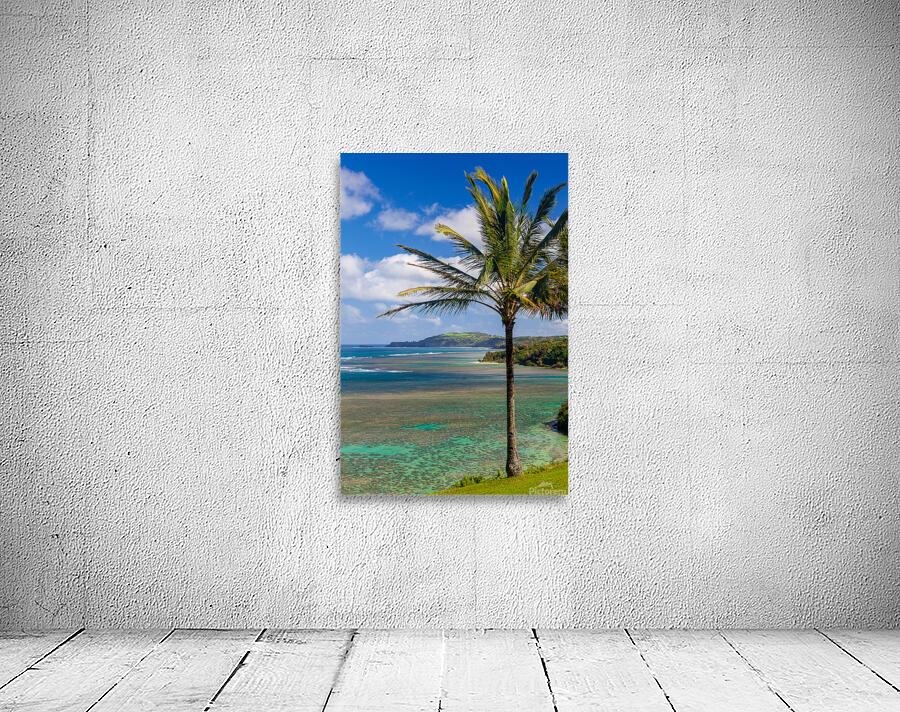 Sealodge and anini beach in Kauai Wall Preview