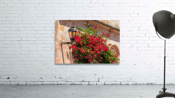 Street lamp in Unesco historical town of Colonia del Sacramento Wall Preview