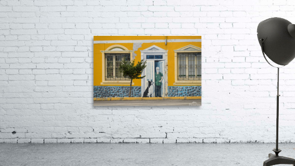 Wall mural on building in Punta Arenas in Chile Wall Preview
