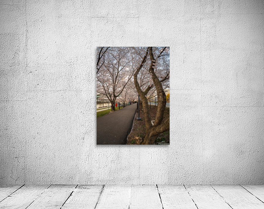 Jogger running on the bike walking trail over Deckers Creek Morg Wall Preview