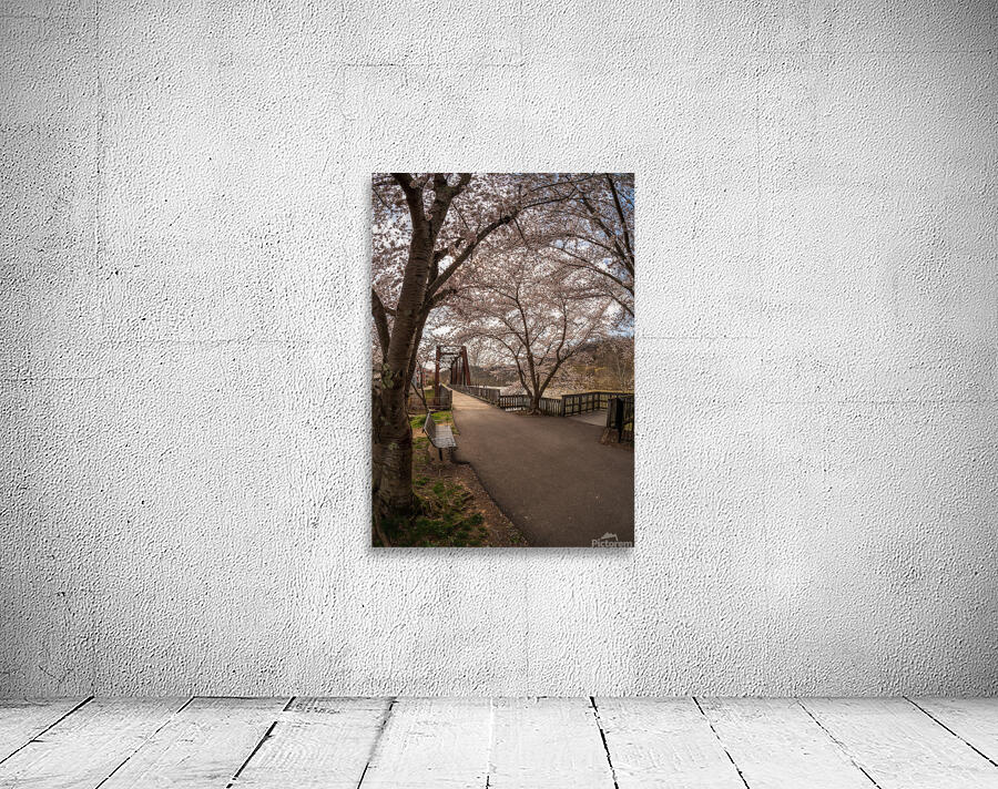 Steel girder bridge carries the bike walking trail over Deckers  Wall Preview