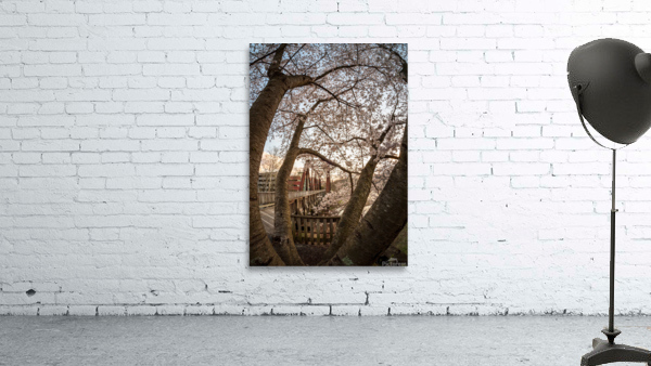 Steel girder bridge carries the bike walking trail over Deckers  Wall Preview