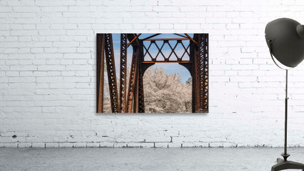 Steel girder bridge carries the bike walking trail over Deckers  Wall Preview