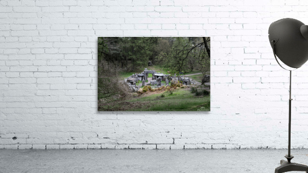 Standing stones of the Druids Plantation in Nidderdale Wall Preview