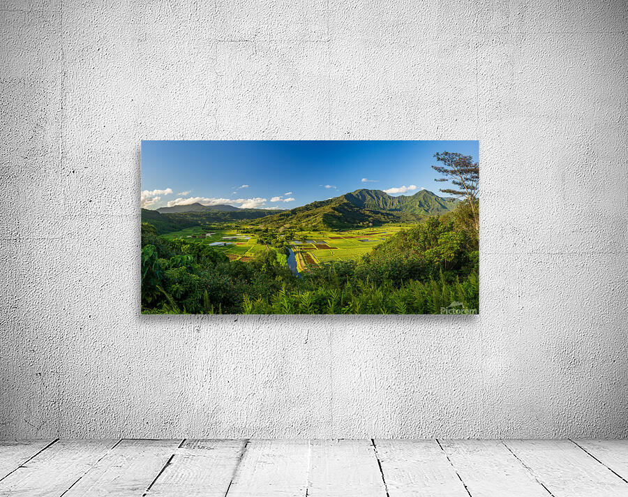 Panoramic view over the Hanalei national wildlife refuge Kauai Wall Preview