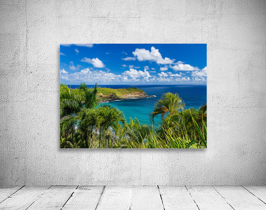 Mokolea point and Kahili beach framed by palm trees Kauai Wall Preview