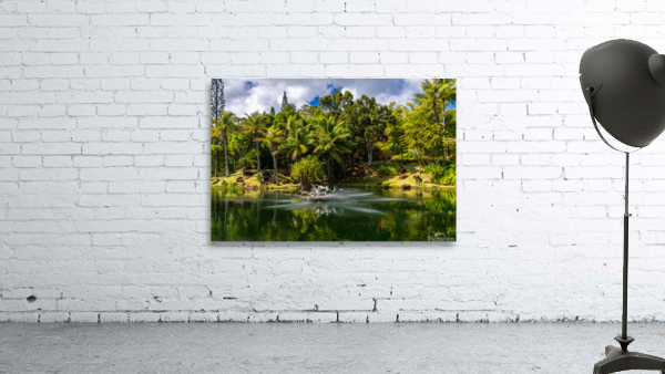 Gorgeous lagoon and lake in the Na Aina Kai sculpture garden Wall Preview