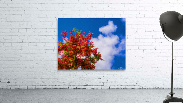 Impressionistic painting of rainbow shower tree blossoms Wall Preview