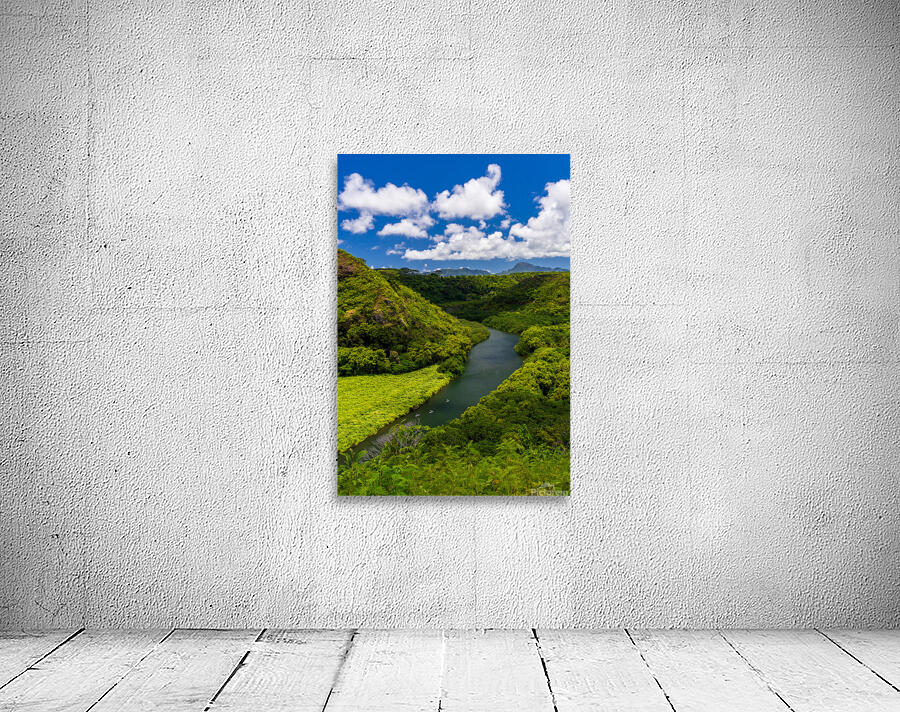 Wailua River bends around a meadow on Kauai Wall Preview