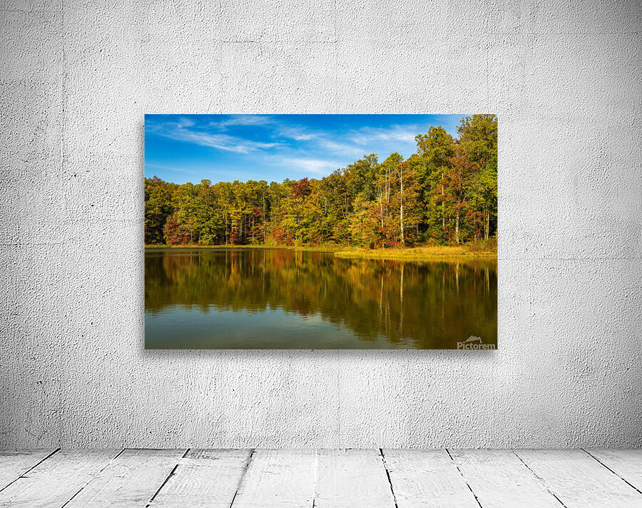 Fall leaves surround reservoir in Coopers Rock State Forest in W Wall Preview