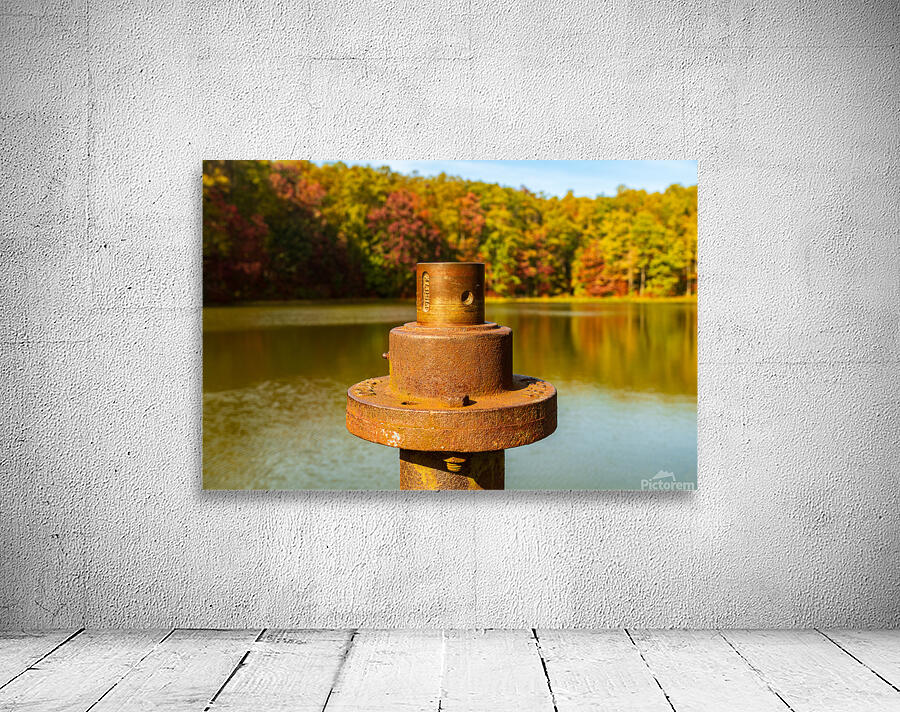 Detail of rusty metal pipe with fall leaves in Coopers Rock in W Wall Preview