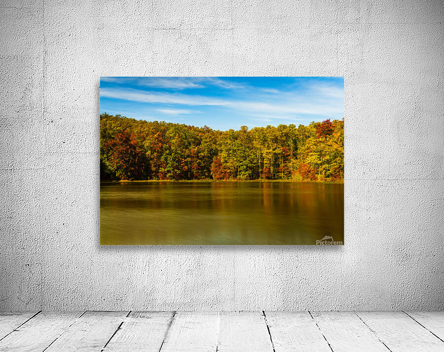 Fall leaves surround reservoir in Coopers Rock State Forest in W Wall Preview