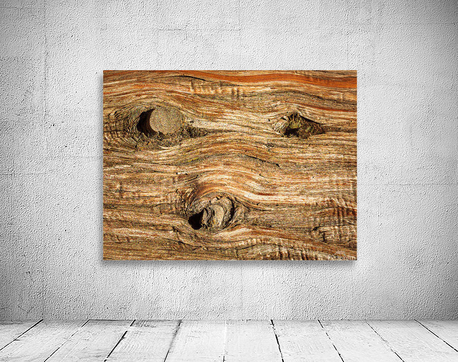 Background close up of cedar trunk bark Wall Preview