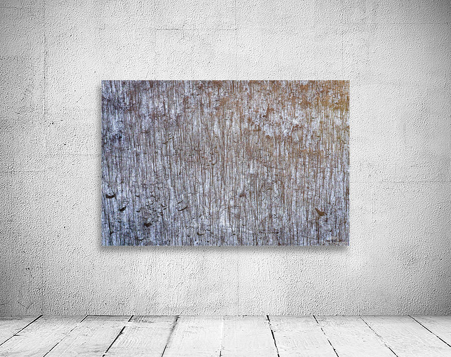 Rocky snow covered hillside at Coopers Rock at sunset Wall Preview