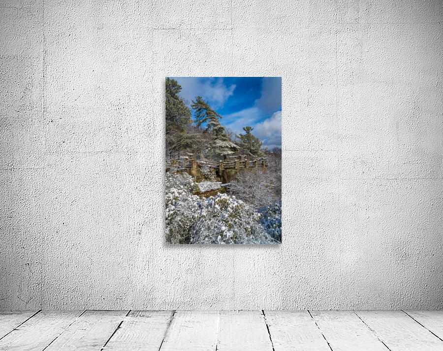 Coopers Rock overlook covered in winter snow near Morgantown Wall Preview