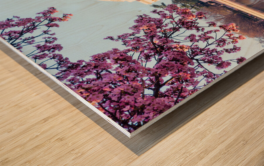 Beautiful early morning Jefferson Memorial Wood print