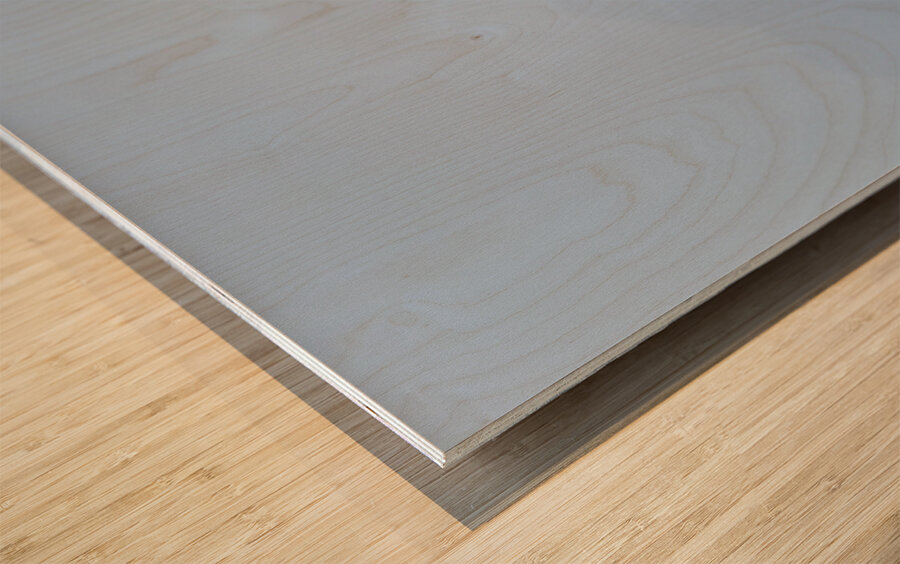 Imperial Shag or Cormorant flying by Cape Horn in Chile Impression sur bois