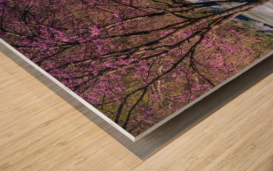 Wooden bench view of Valley Falls on spring morning Wood print