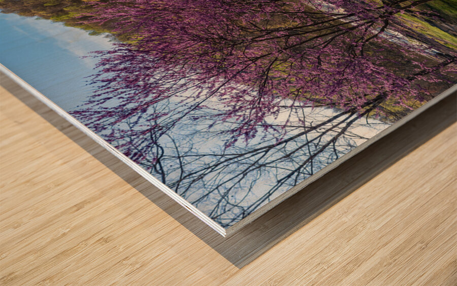 Bench view of Valley Falls on a bright spring morning Wood print