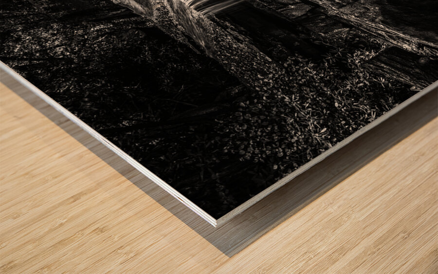 Monochrome Black and White Waterfall on Deckers Creek Impression sur bois