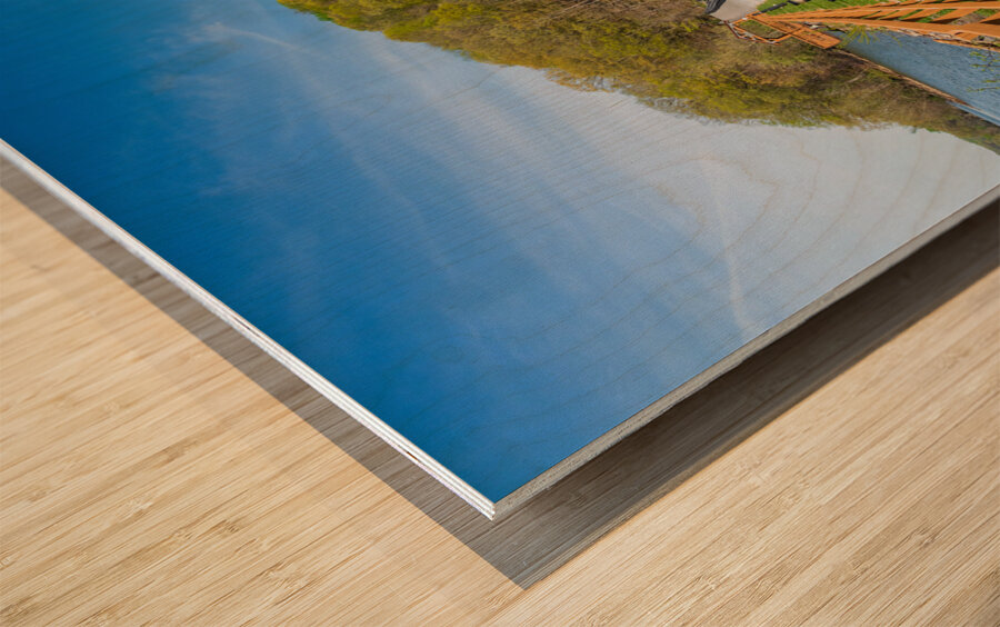 Pathway to spring leaves in Cheat Lake Morgantown WV Impression sur bois